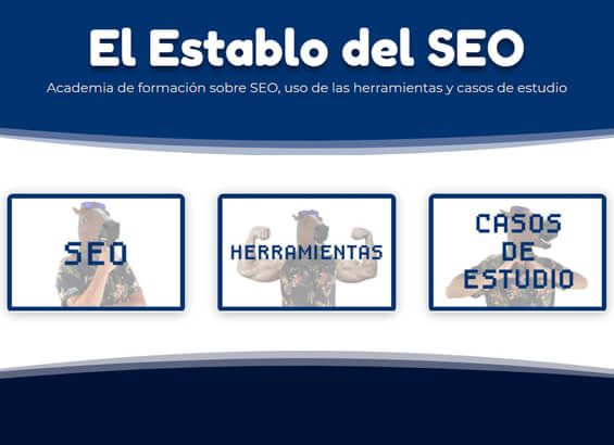 Análisis SEO de una web en kiwosan
