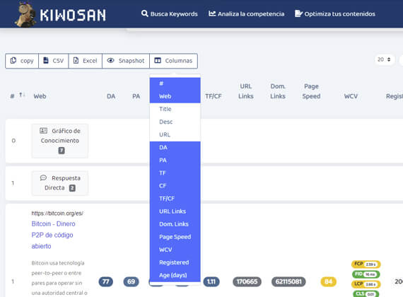 analisis de las serps filtro avanzado