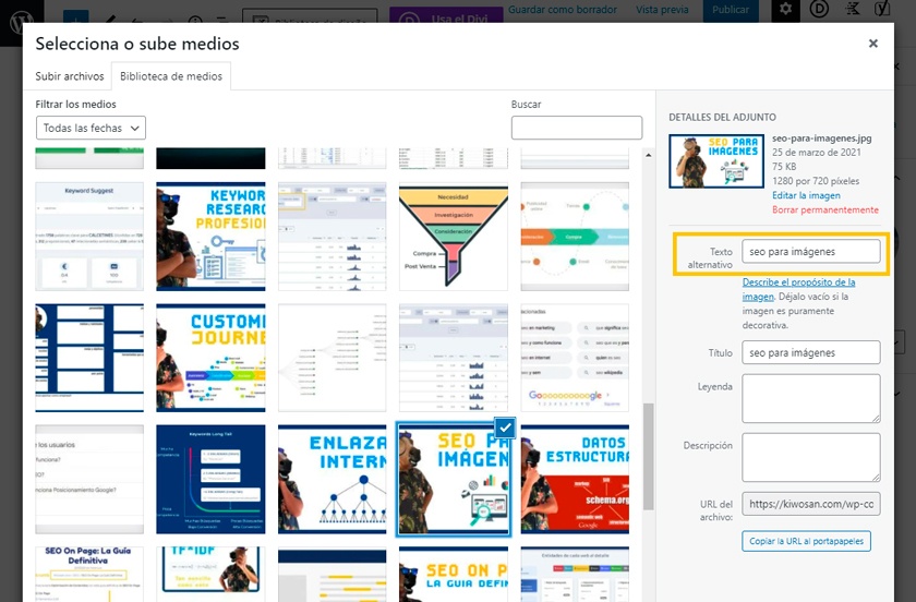 Texto alt seo para imagenes