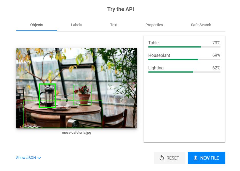 api AI google vision