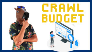 Guía Crawl Budget: Qué es y cómo optimizarlo