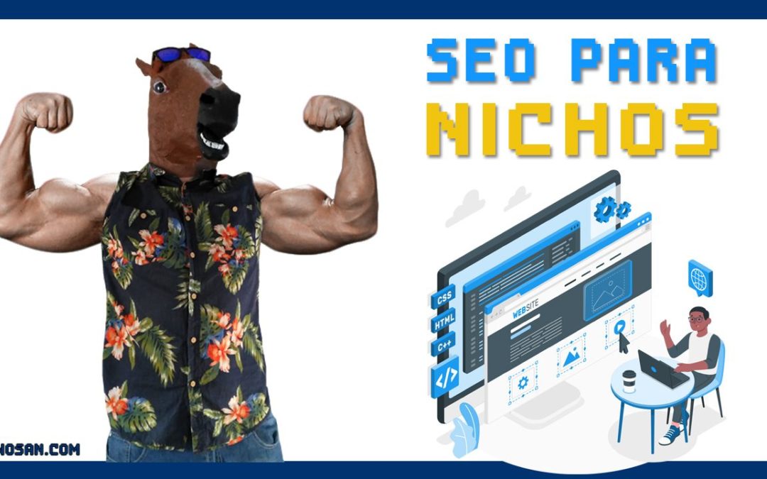 seo para nichos