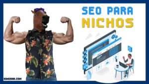 Cómo hacer SEO para posicionar una web nicho