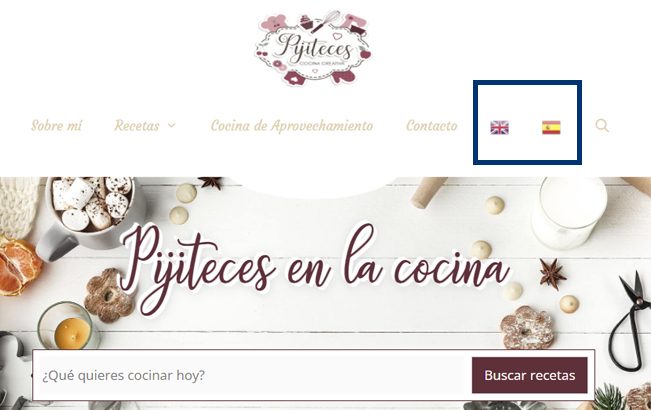 Elegir el idioma de la web SEO internacional