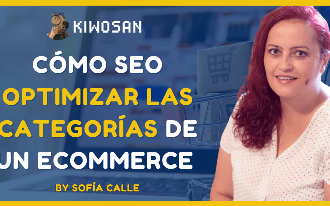 optimizar categorias ecommerce Sofia calle